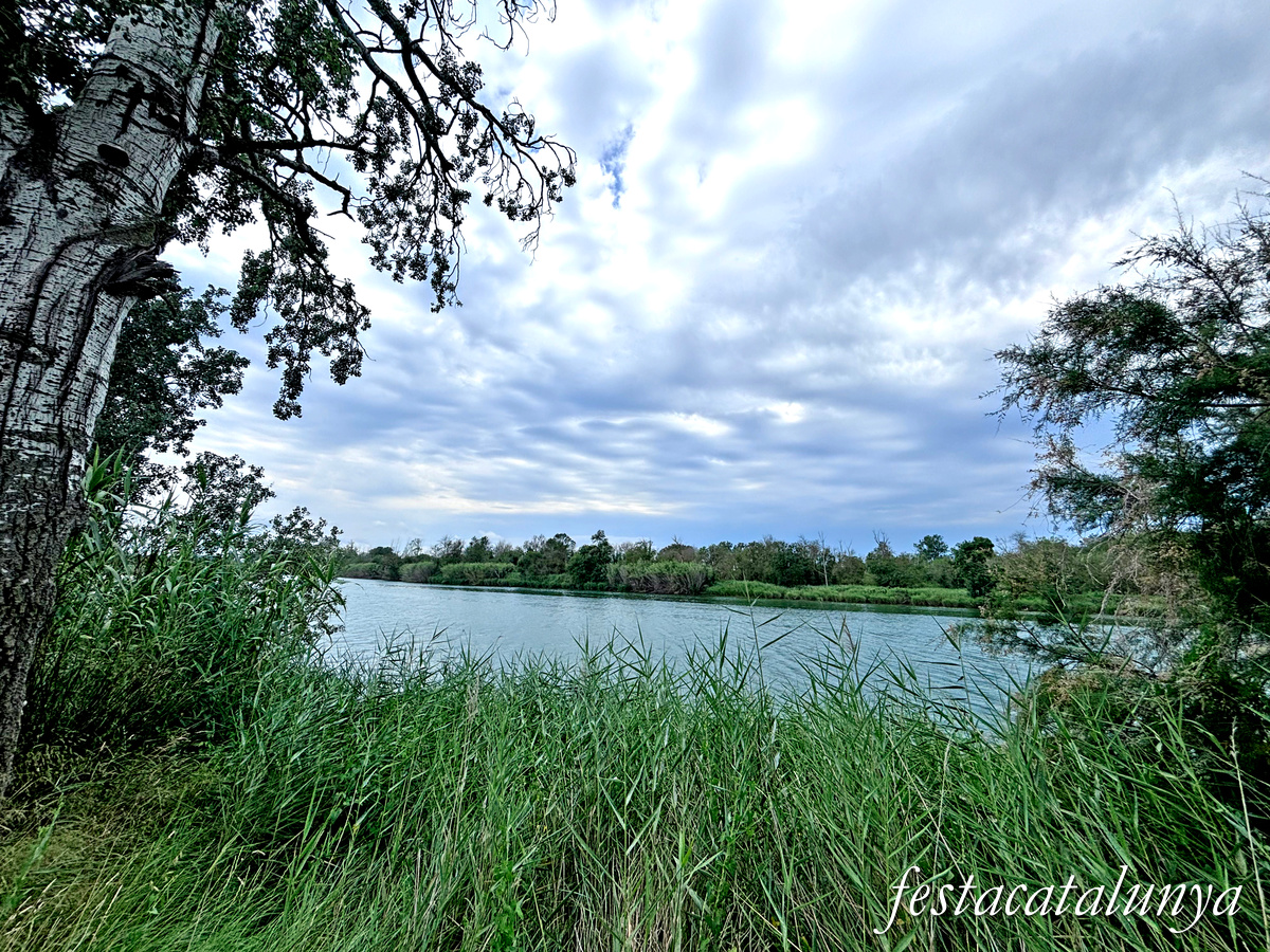 Sant Pere Pescador - Riu Fluvià 
