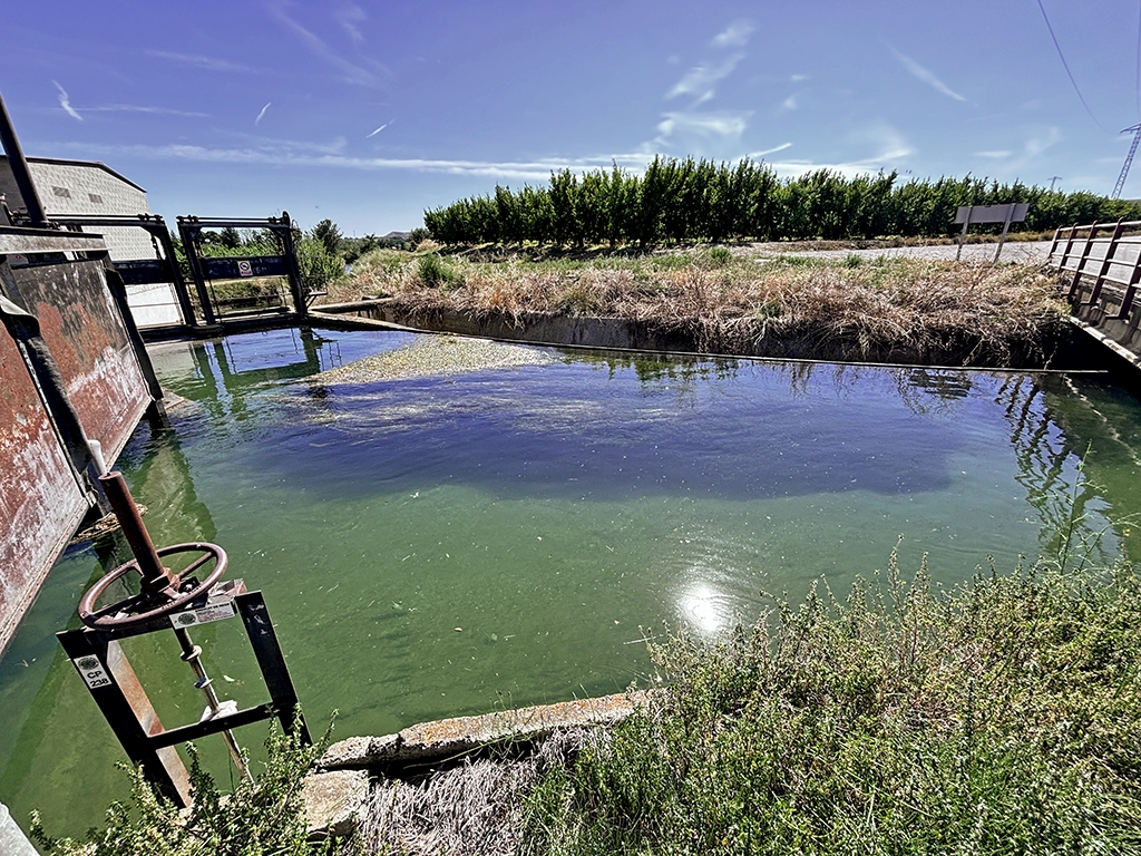 Lo Molinot, antic molí fariner de Vilanova de Segrià