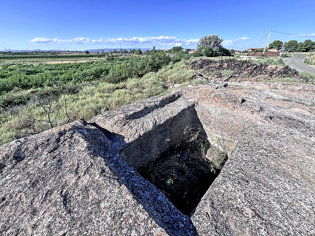 La Grallera de Torrefarrera