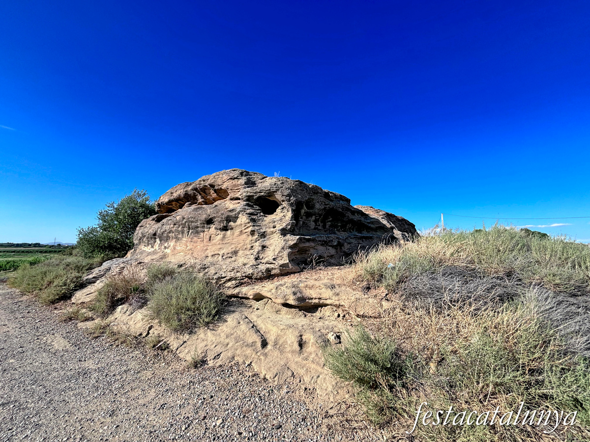 Torrefarrera - La Grallera de Torrefarrera