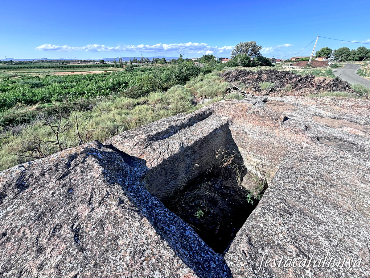 Torrefarrera - La Grallera de Torrefarrera