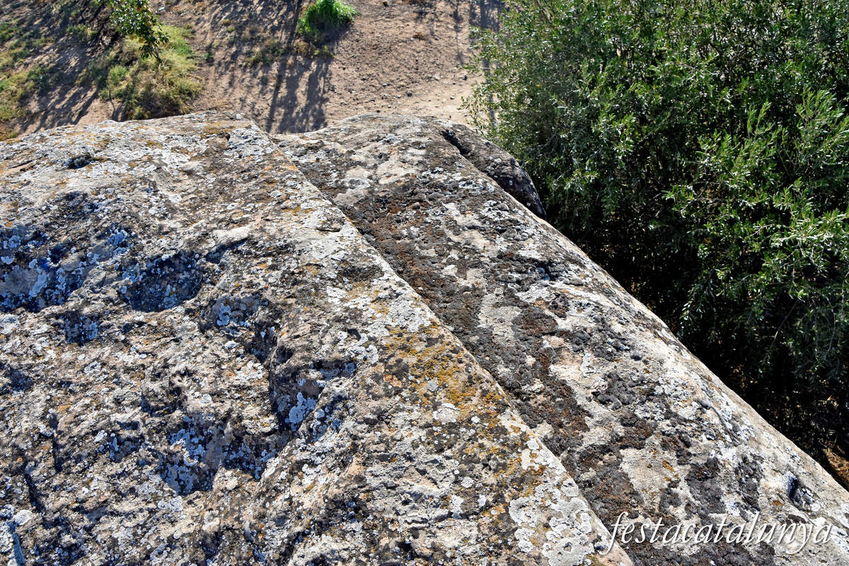 Torrefarrera - La Grallera de Torrefarrera