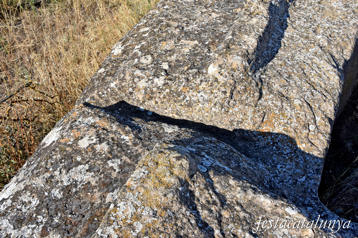 Torrefarrera - La Grallera de Torrefarrera