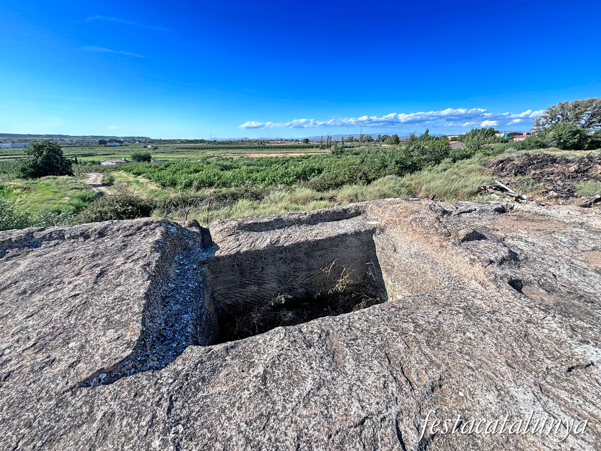 Torrefarrera - La Grallera de Torrefarrera