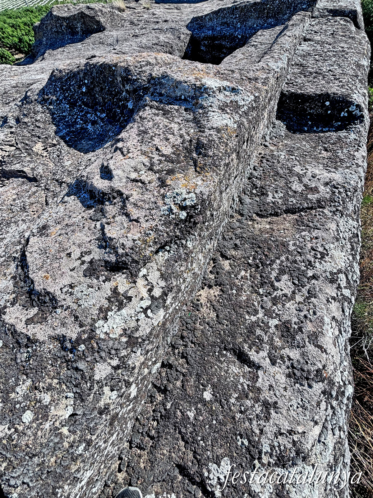 Torrefarrera - La Grallera de Torrefarrera