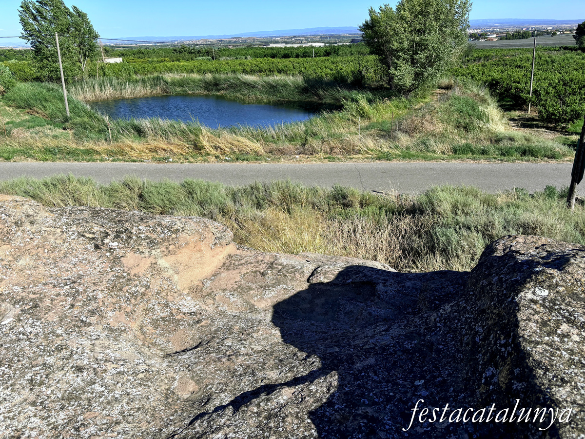Torrefarrera - La Grallera de Torrefarrera