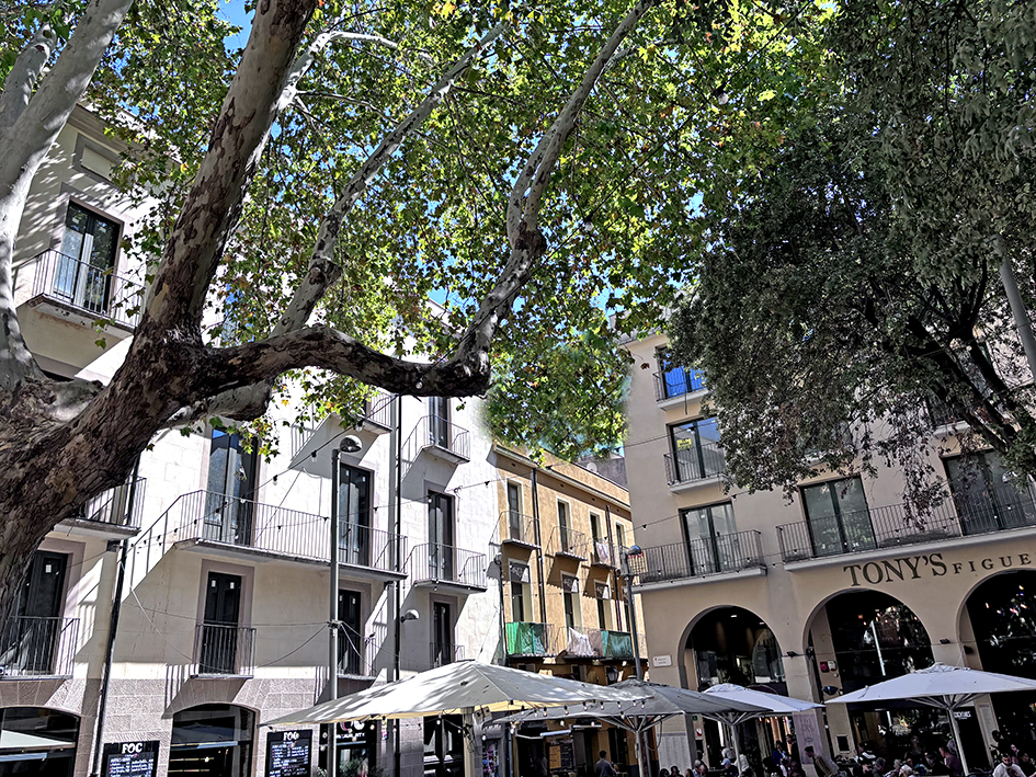 9.1.- Plaça de les Patates de Figueres i entorn