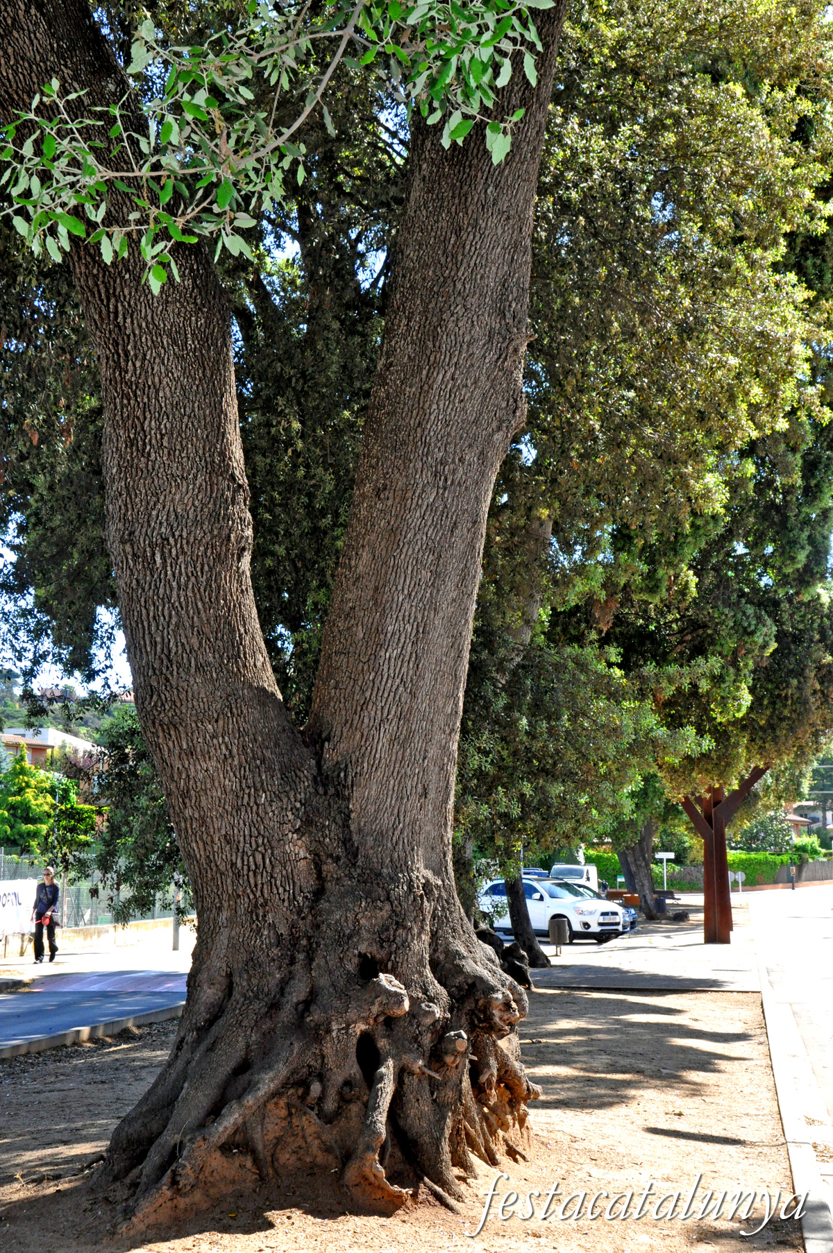 Vallromanes - Alzines de can Galbany i escultura Natura Industrial