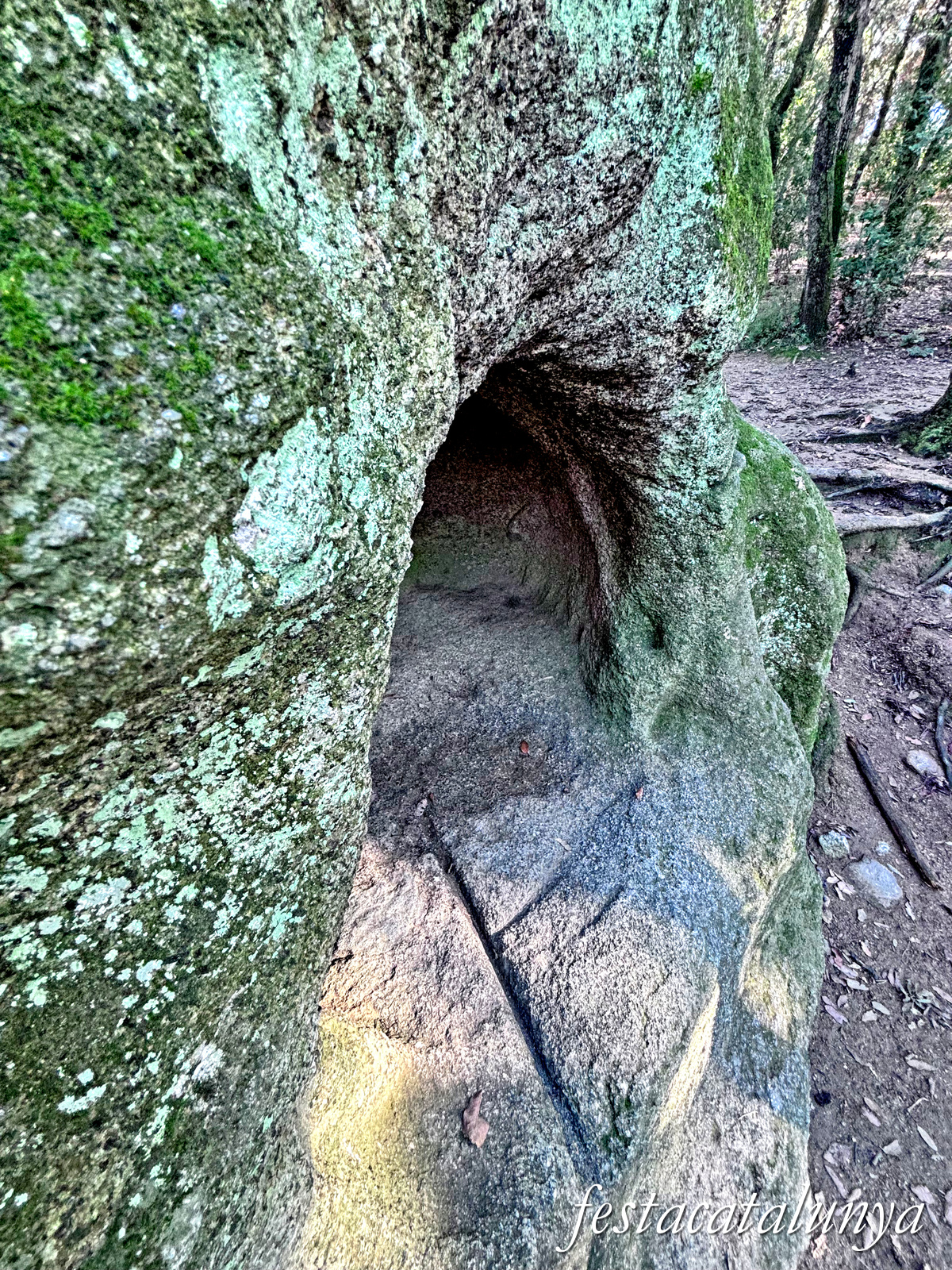 Vallromanes - Roca Foradada