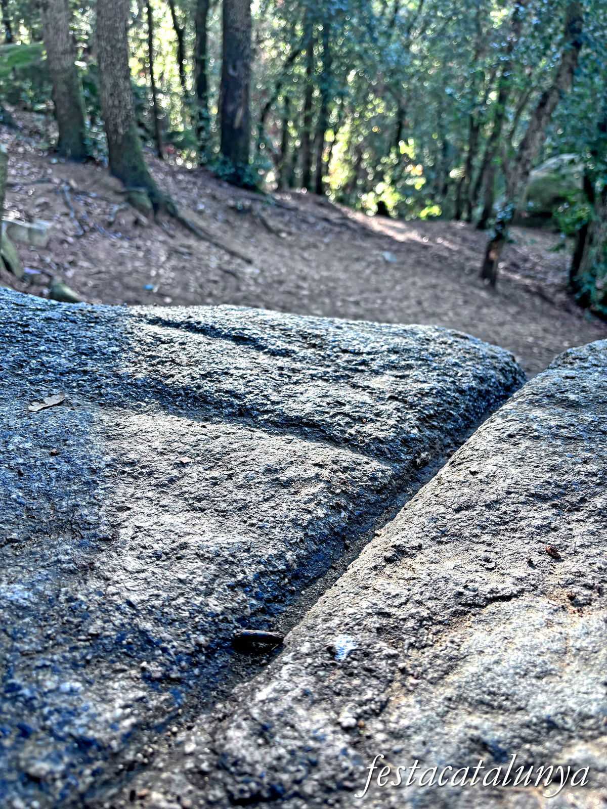 Vallromanes - Roca Foradada