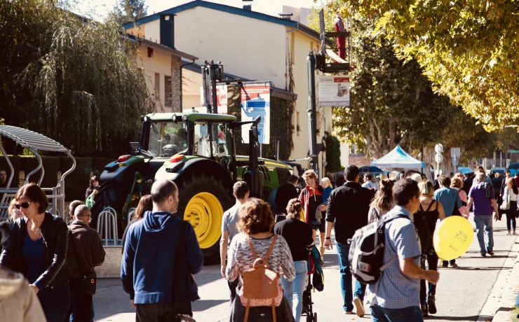 Fira de Sant Ermengol de la Seu d'Urgell, la Fira de Formatges Artesans del Pirineu