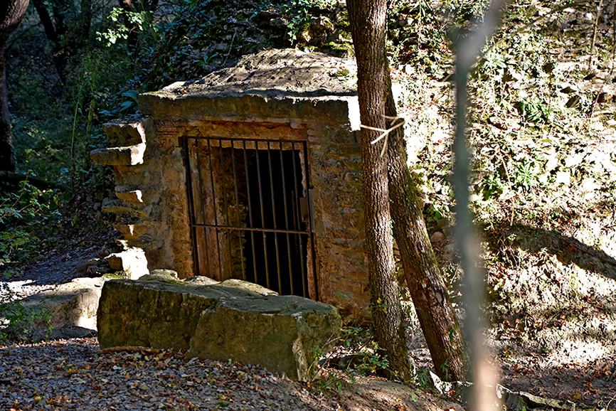 Pou de glaç de Salou o poua de la Sorralta a les Masies de Roda