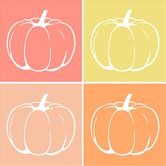 Fira de la Carbassa a Sant Joan de les Abadesses