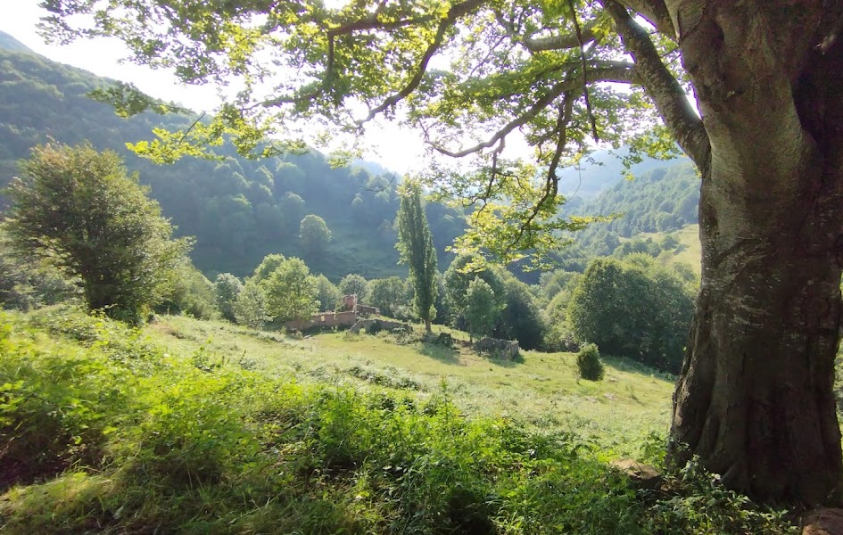 Milanyada, la Caminada Popular de Vallfogona de Ripollès
