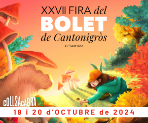 Fira del Bolet de Cantonigròs