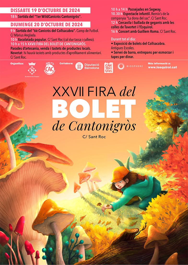 Fira del Bolet de Cantonigròs