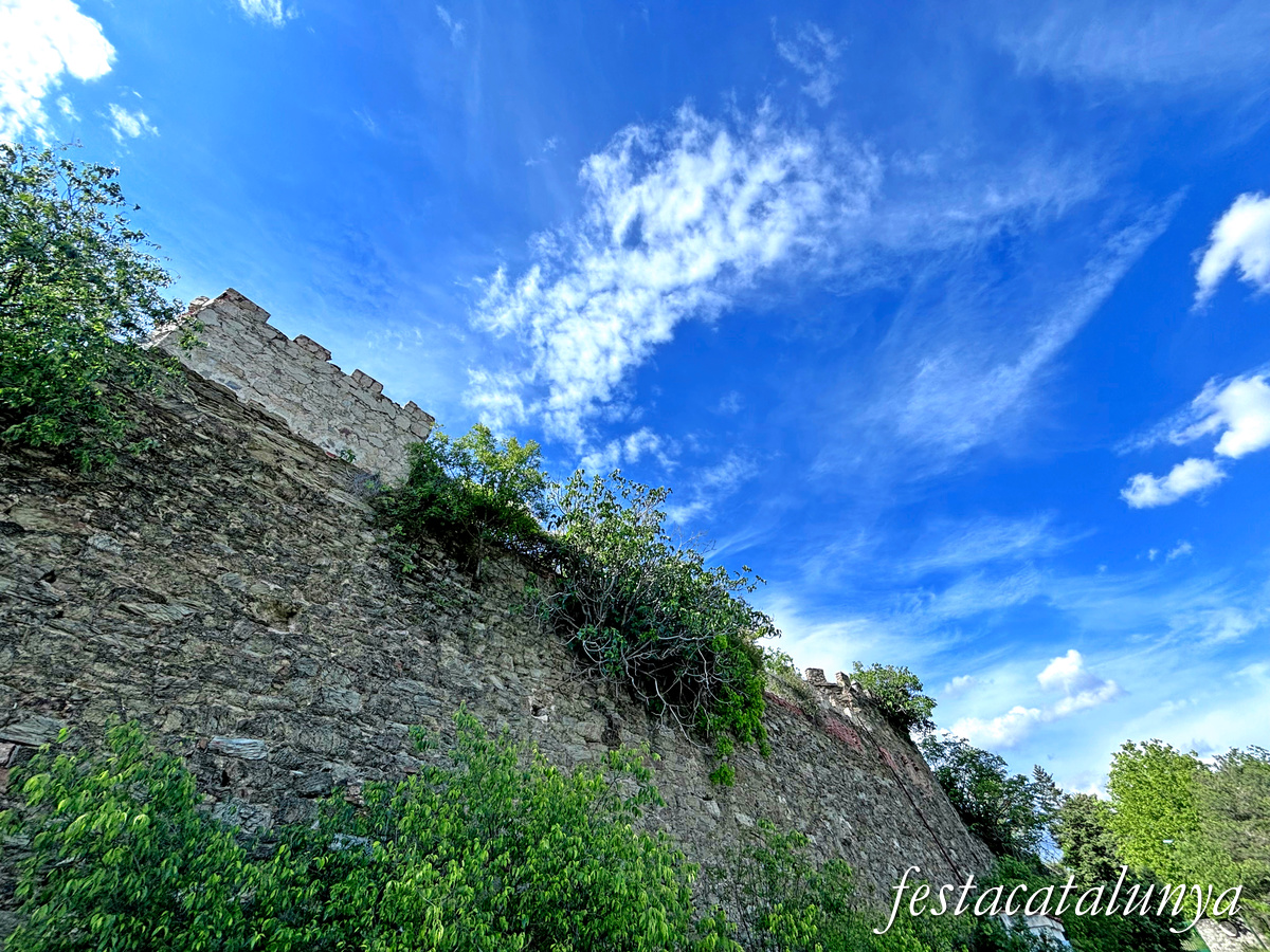 La Seu d'Urgell - Castell i ciutadella de Castellciutat