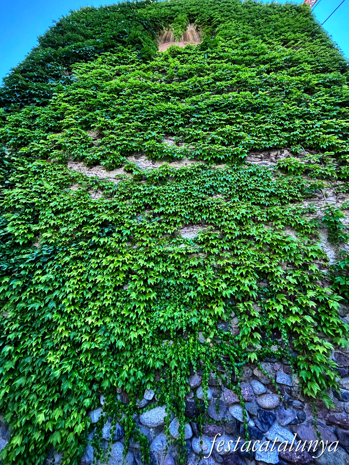 La Seu d'Urgell - Biblioteca Sant Agustí