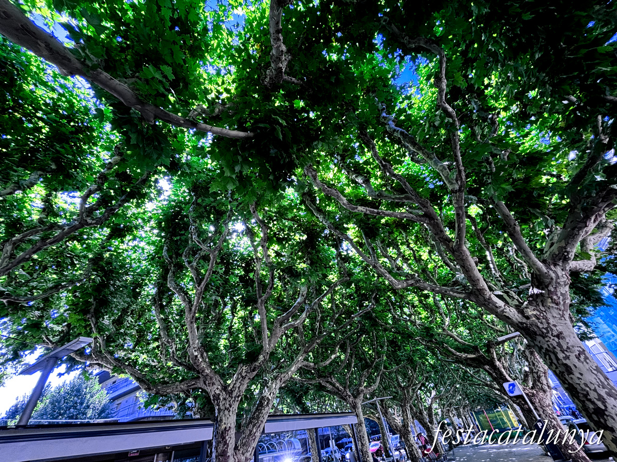 La Seu d'Urgell - Passeig Joan Brudieu 