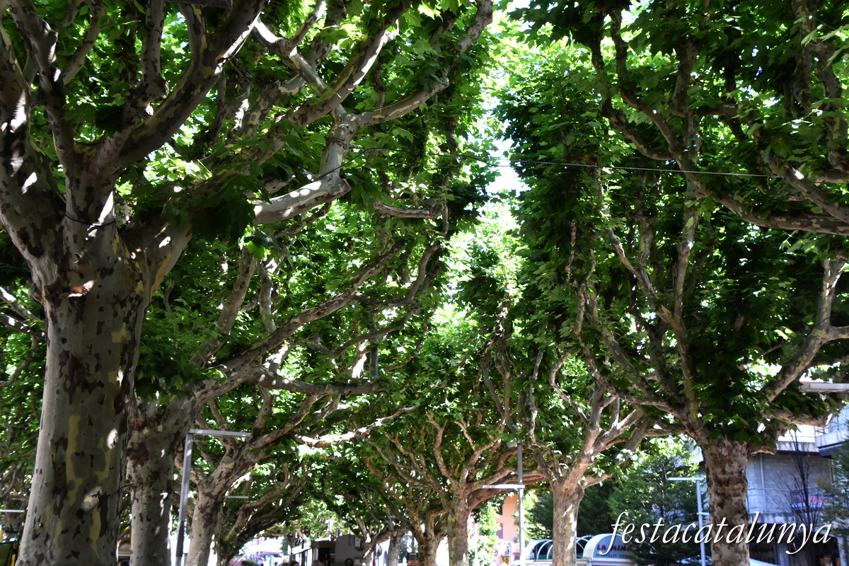 La Seu d'Urgell - Passeig Joan Brudieu