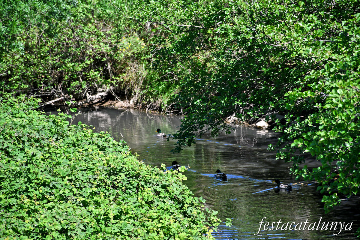 Fontanilles - Nucli històric - Font de la Blaia sobre el Daró Vell