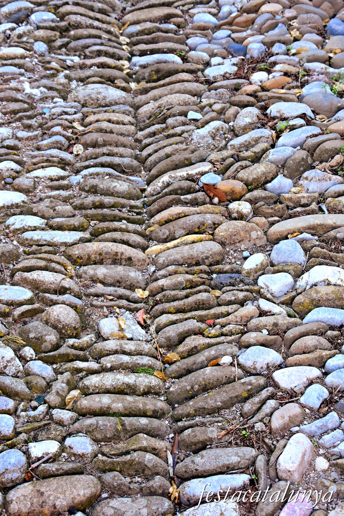 Saus - Nucli històric 