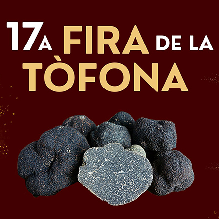 Fira de la Tòfona de Centelles