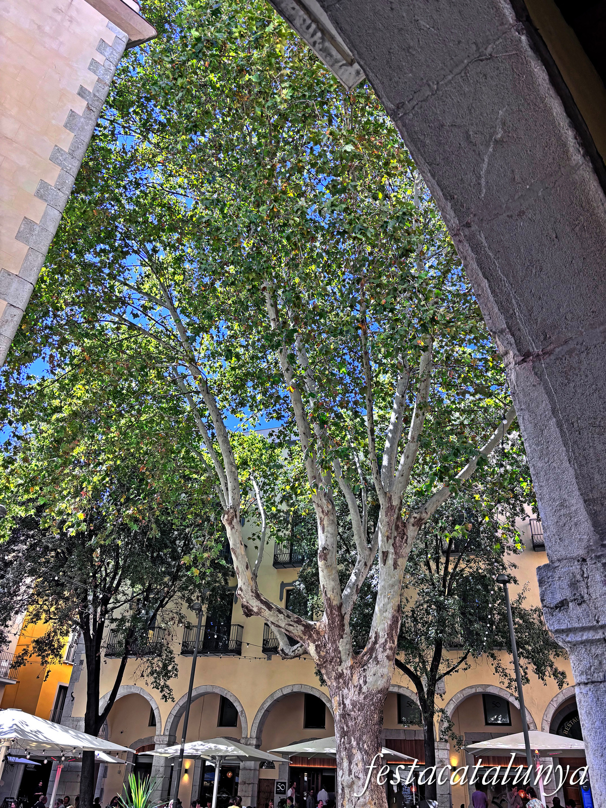 Figueres - Plaça de les Patates i entorn 