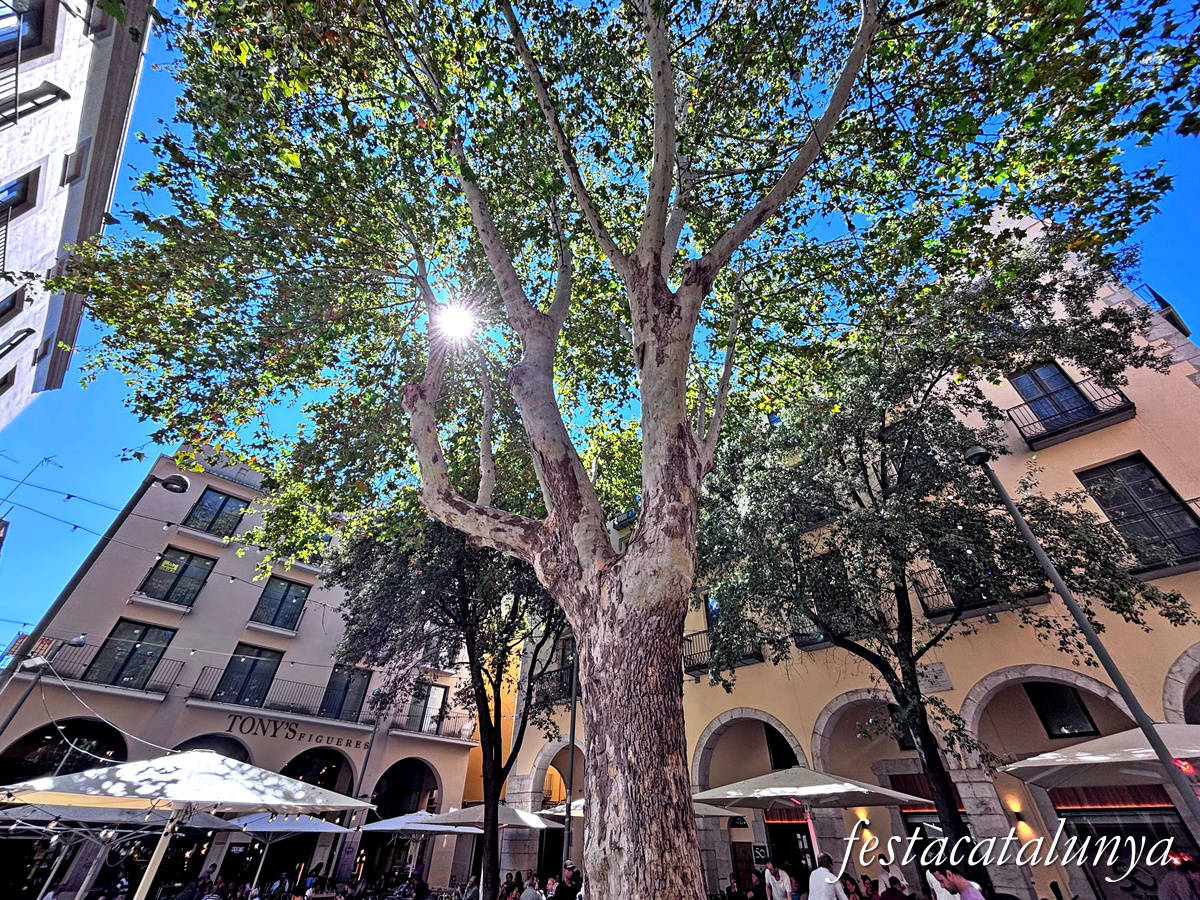 Figueres - Plaça de les Patates i entorn 