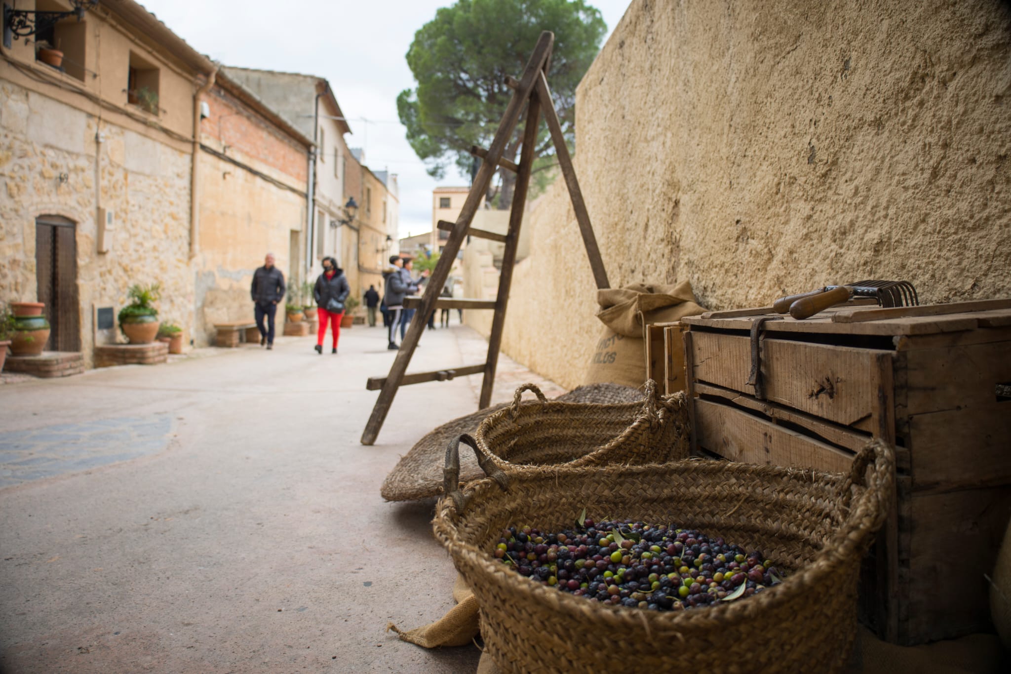 Fira de l'oli Baronia de Cabacés