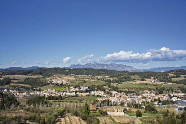 Visites Guiades i activitats a Torrelavit