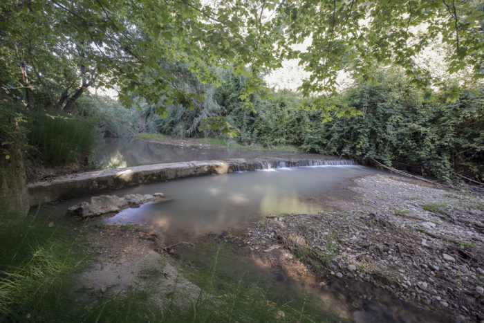 Visites Guiades i activitats a Torrelavit