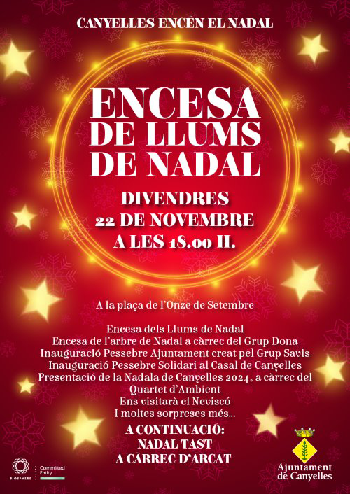 Encesa de Llums de Nadal i Nadal Tast a Canyelles