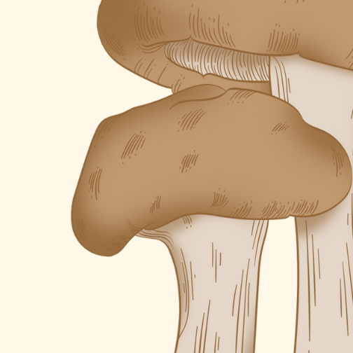 Fira del Fredeluc i la Botifarra a Santa Eulàlia de Riuprimer