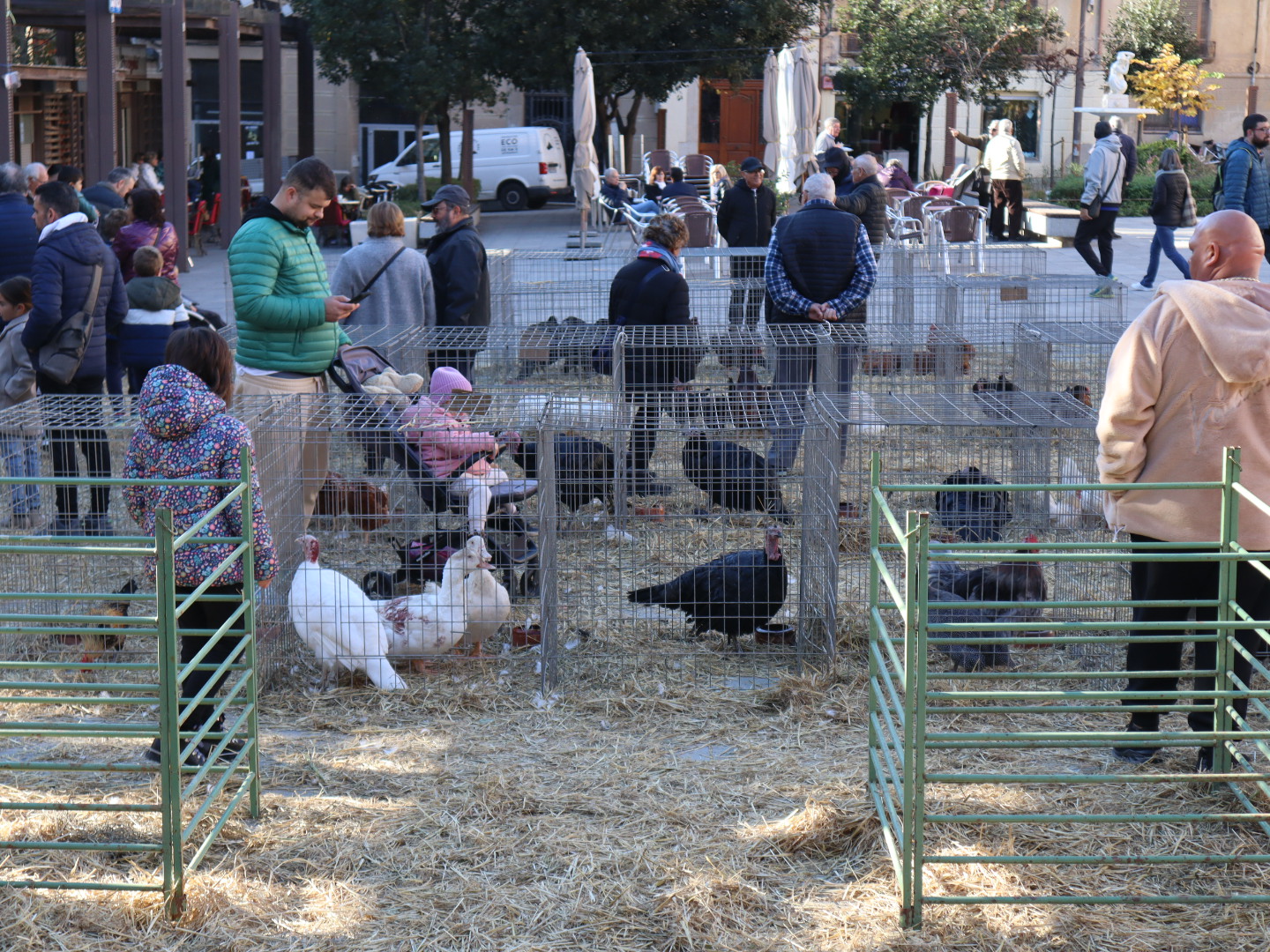 Mercat de Nadal, fira de capons, aviram i motius nadalencs a Valls