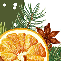 Fira de Nadal de Torrelavit