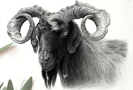 Fira ramadera i d'artesania de Rasquera