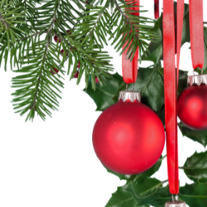 Festes de Nadal de Cervià de les Garrigues