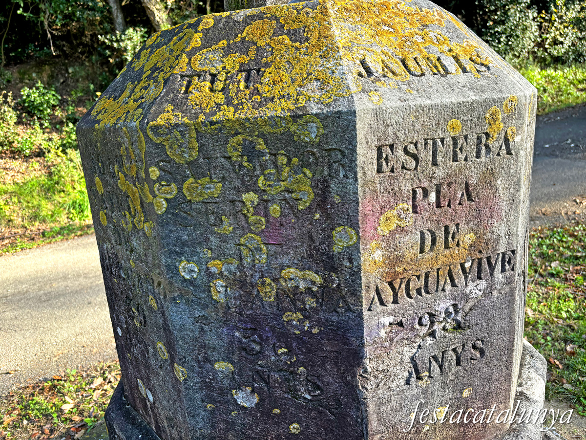 Creu dels carlins de Vilanna a Bescanó