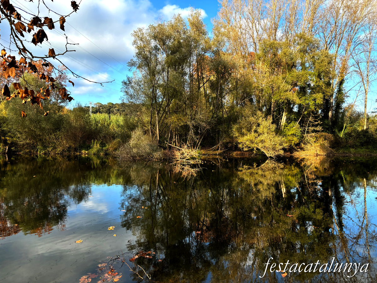 Bescanó - Pas de barca del riu Ter 