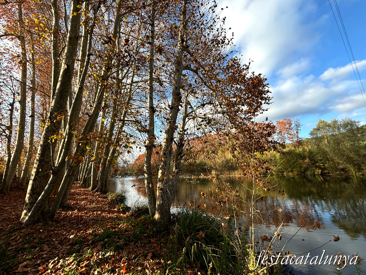 Bescanó - Pas de barca del riu Ter