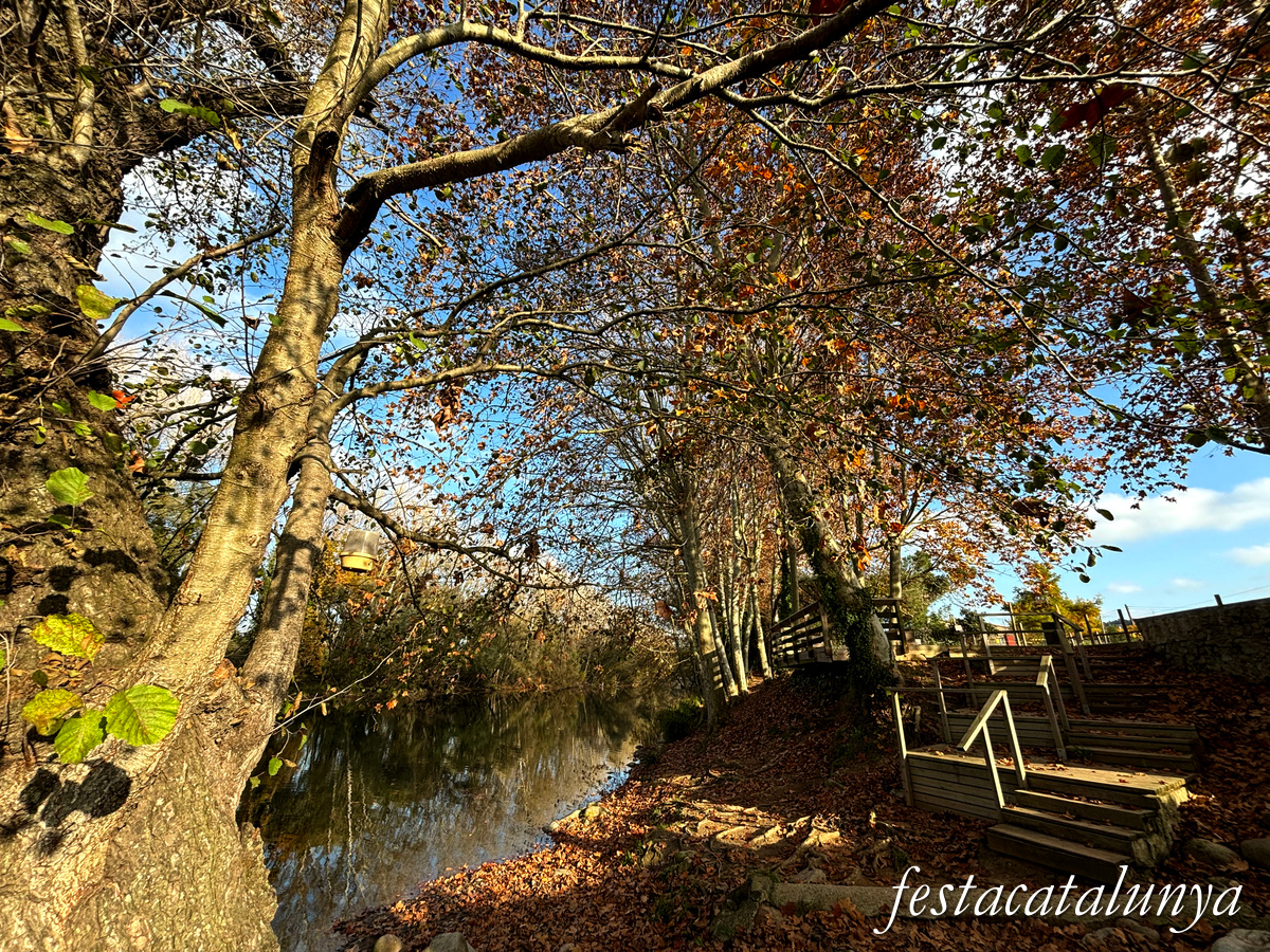 Bescanó - Pas de barca del riu Ter 