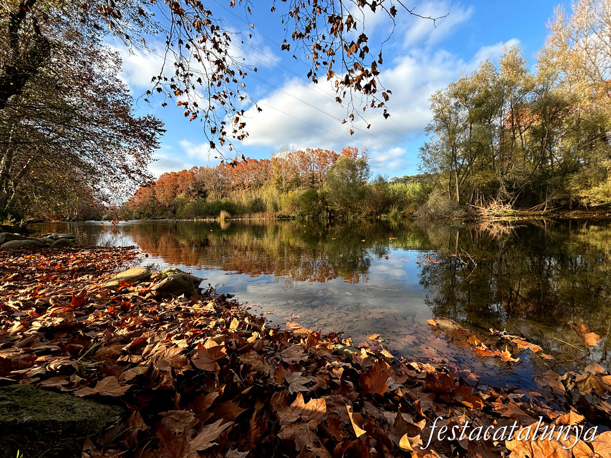 Bescanó - Pas de barca del riu Ter 
