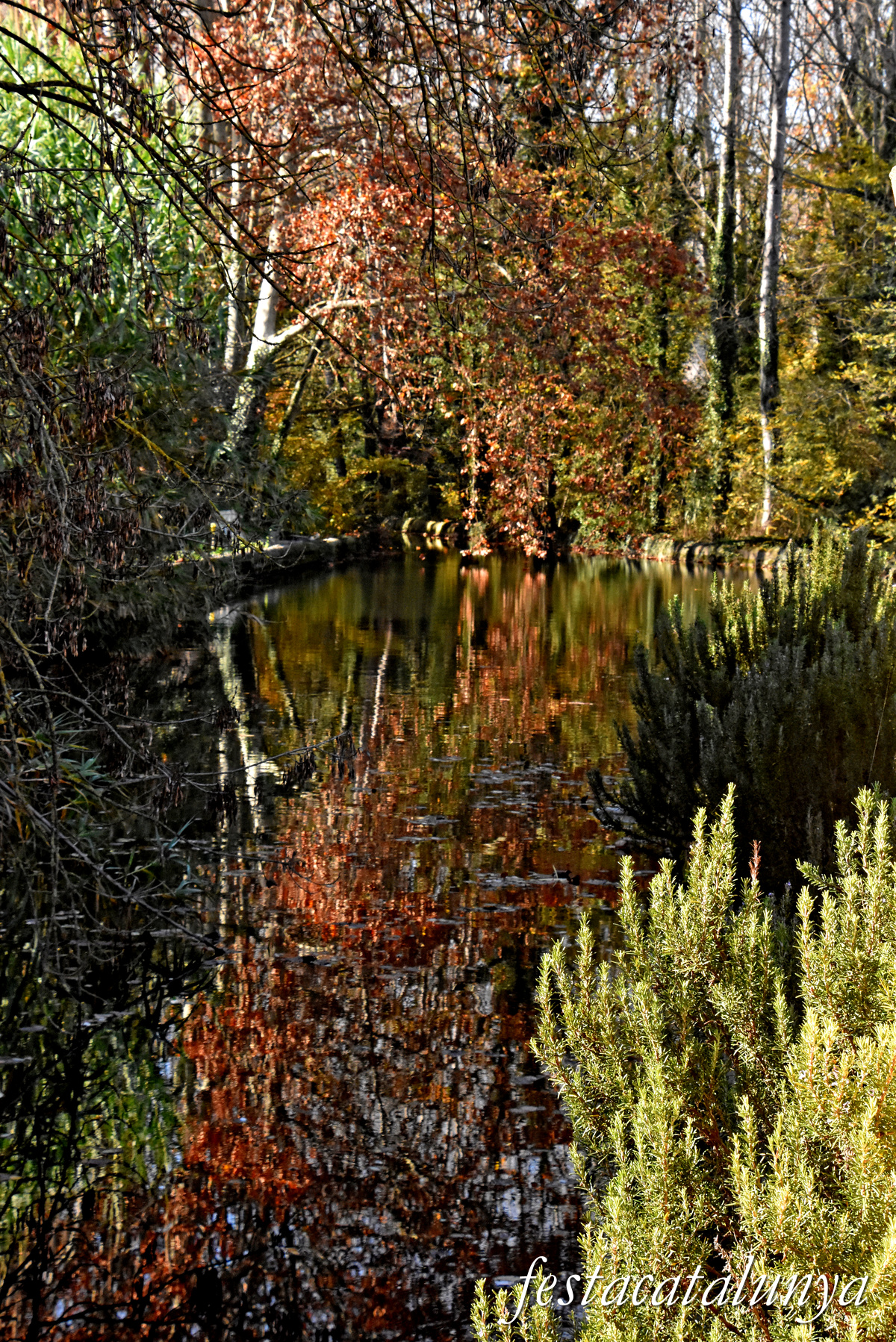 Ruta Ribes del Ter per Bescanó