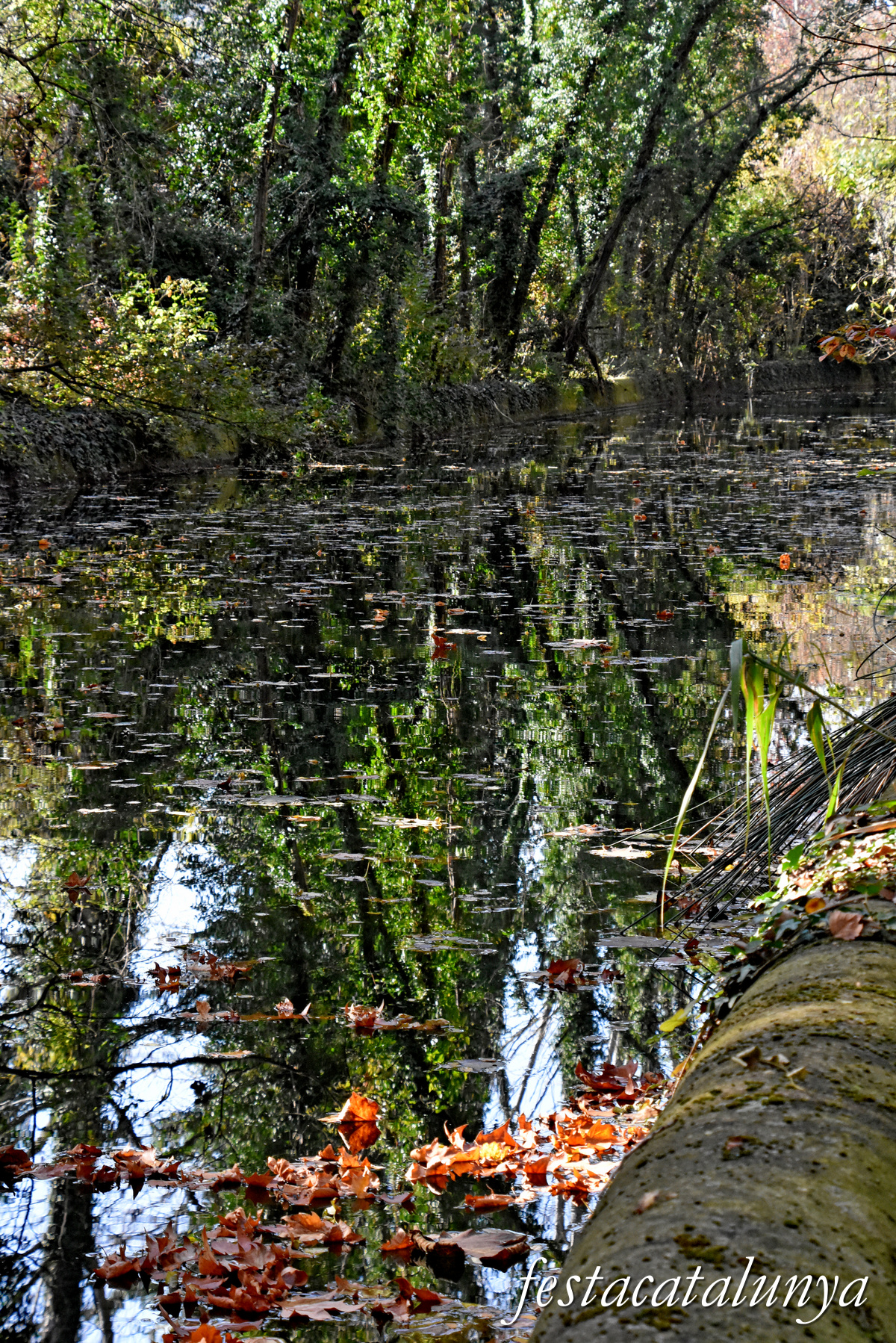 Ruta Ribes del Ter per Bescanó