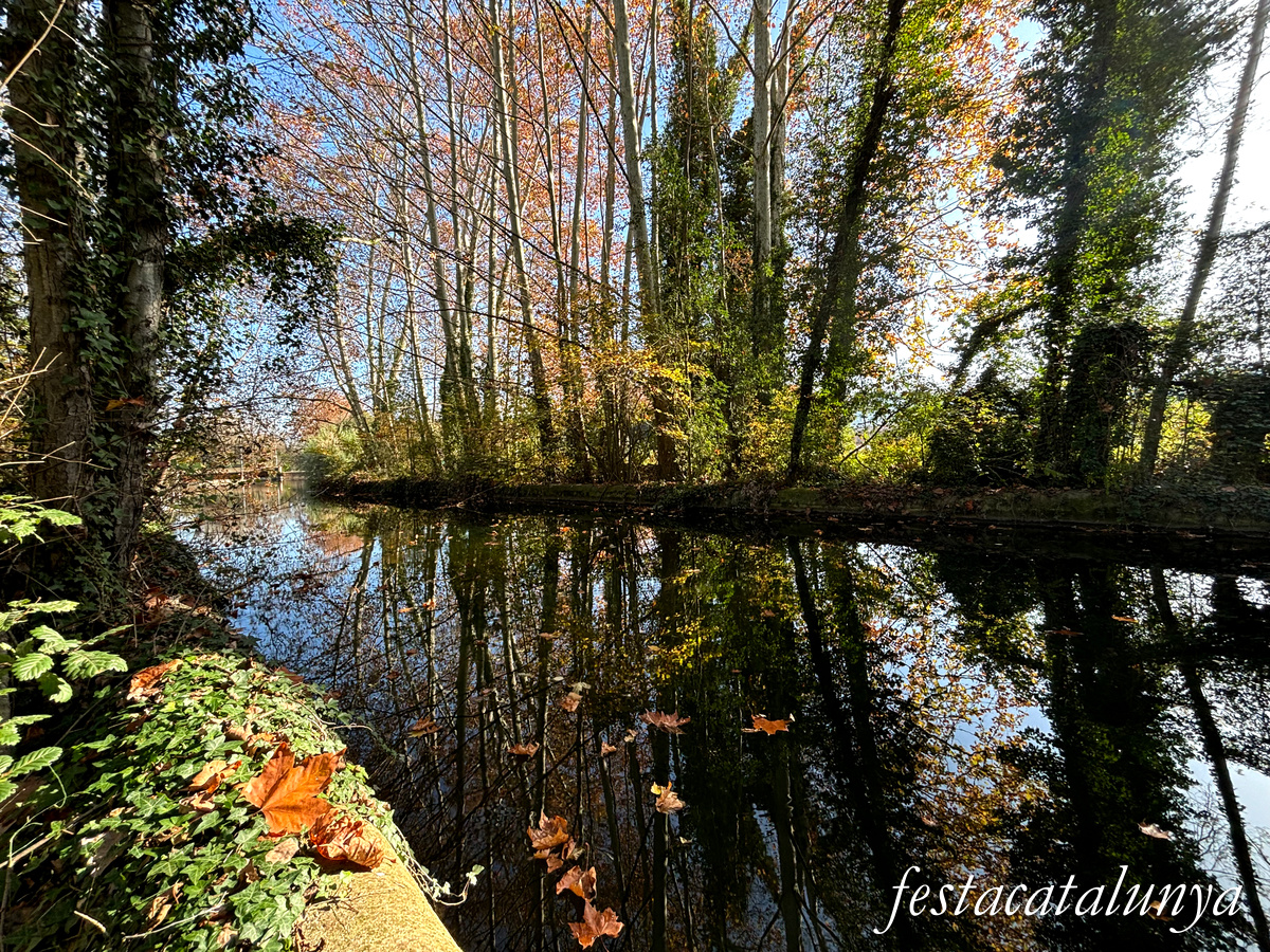 Ruta Ribes del Ter per Bescanó