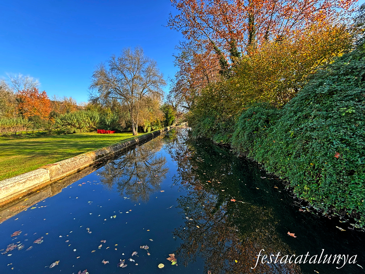 Ruta Ribes del Ter per Bescanó