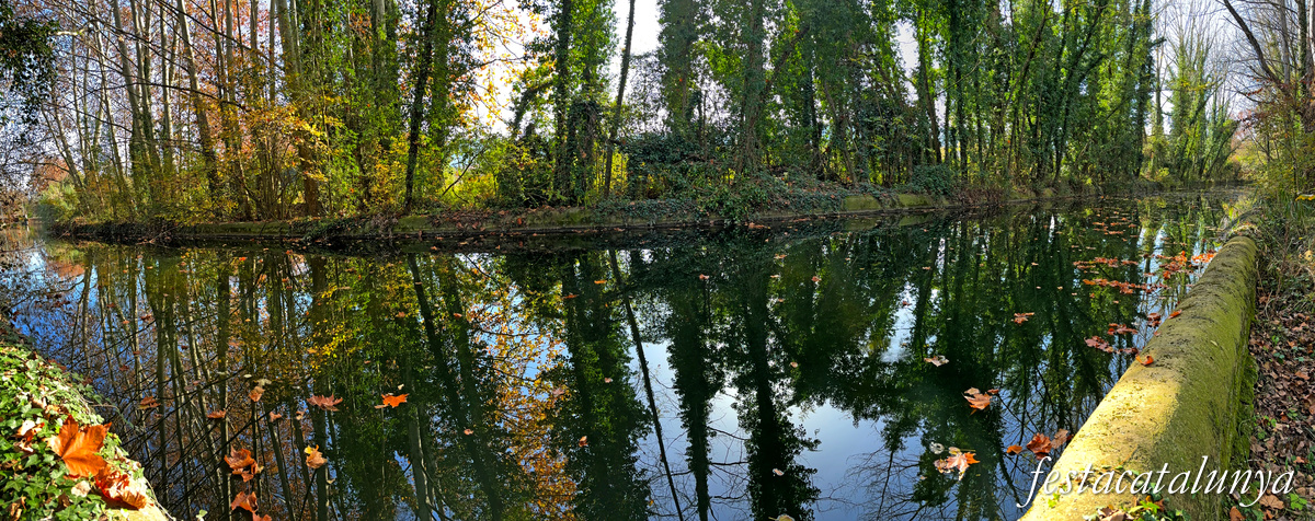 Ruta Ribes del Ter per Bescanó