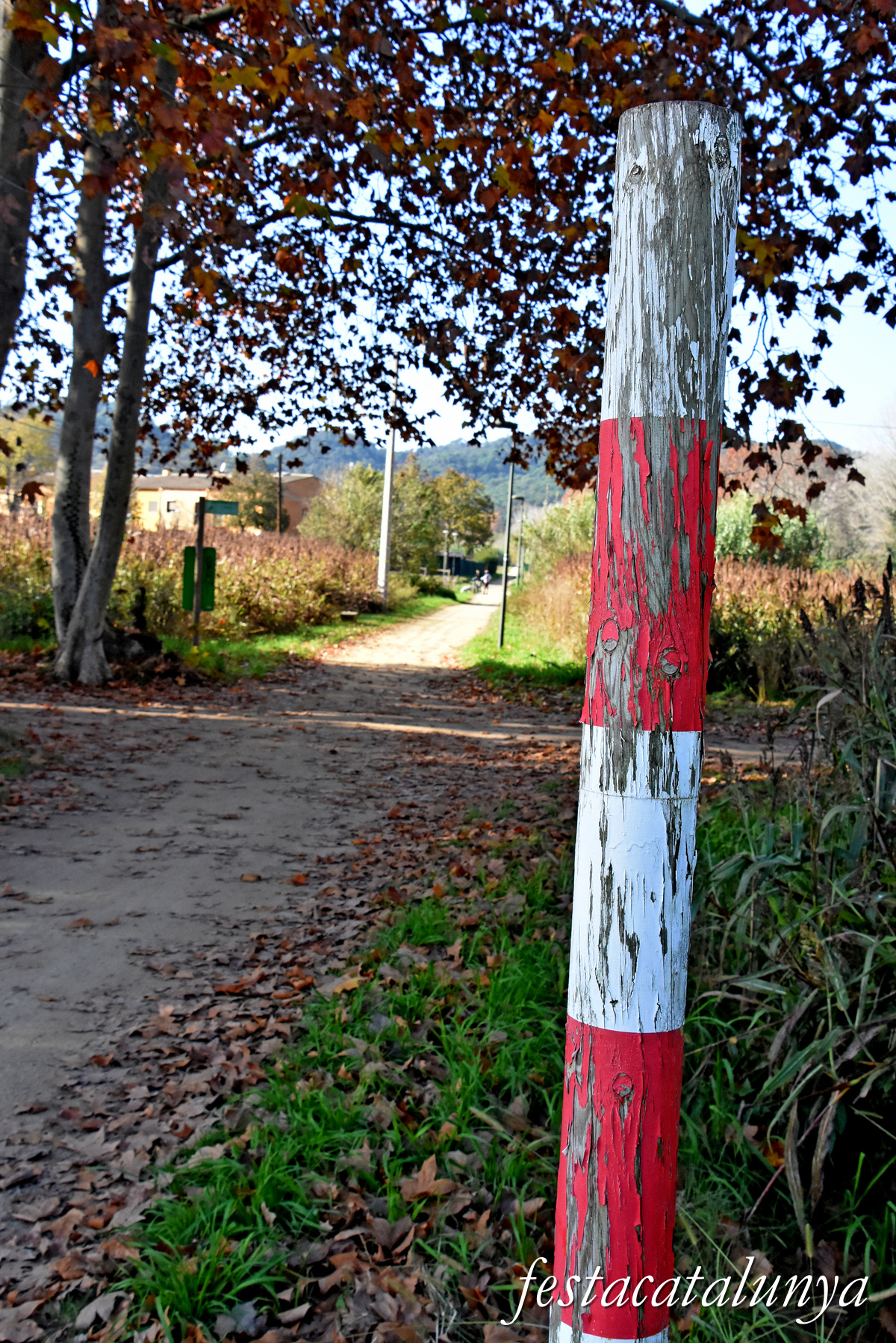 Ruta de l'antic carrilet d'Olot a Girona al seu pas per Bescanó