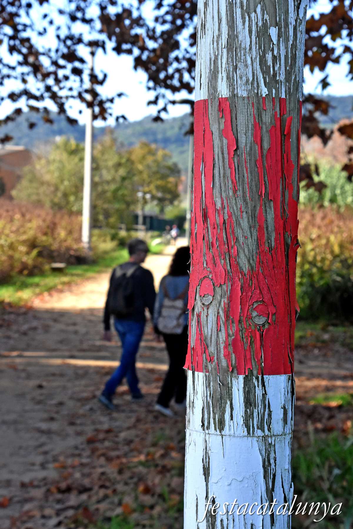 Ruta de l'antic carrilet d'Olot a Girona al seu pas per Bescanó